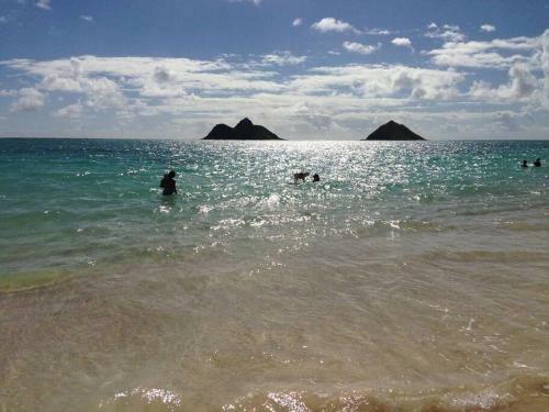 Home & Garden Near Kailua Beach