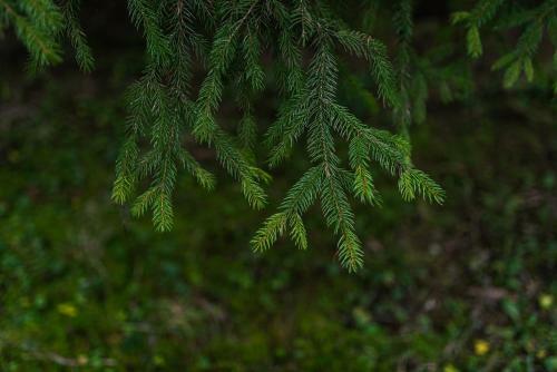 Villa Talblick Im Naturpark Altm�hltal