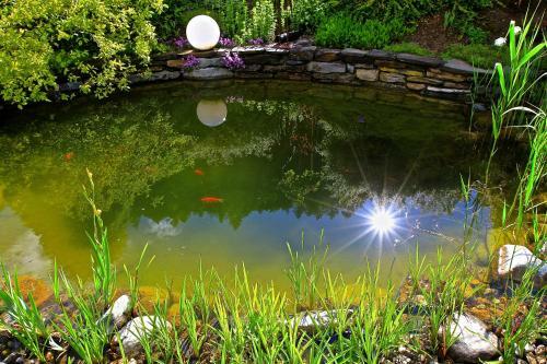 Apartamento Ferienwohnung Schachner