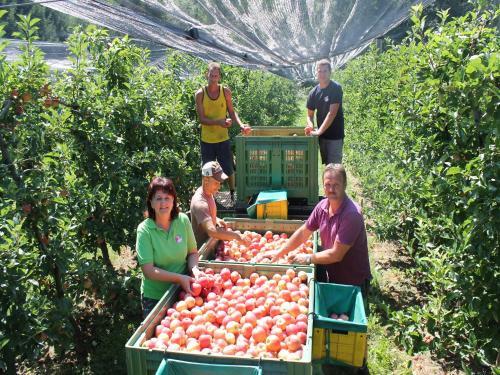 Agroturismo Obst & G�stehof Brandl