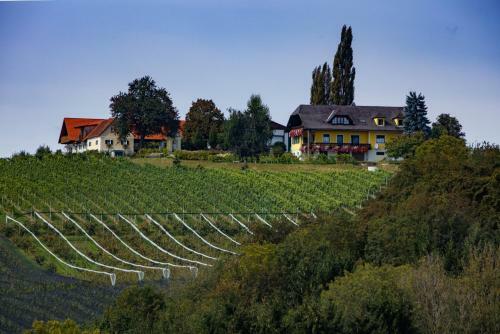 Agroturismo Obst & G�stehof Brandl