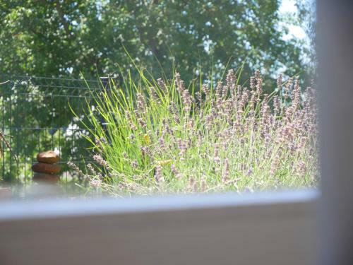 Apartamento Ferienwohnung Mit Garten