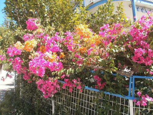 Seaview Self Catering Apartment - Helen No 1
