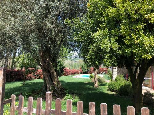 Agroturismo The Olive Tree Country Home