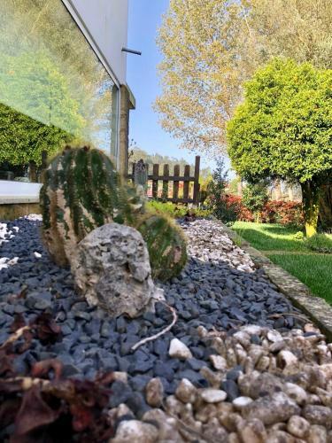 Agroturismo The Olive Tree Country Home