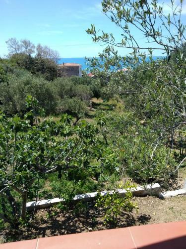 Casa Vacanze Thalia - Pisciotta/palinuro