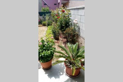 Apartamento Casa Vacanze Millefiori Codice Iun Q3156