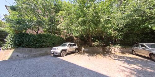 Apartamento Affitto Turistico Via Bonomea 219-1
