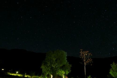 Cabane Aux �toiles