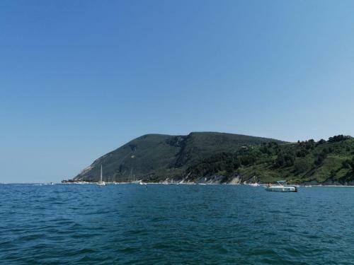 Agroturismo Il Piccolo Uliveto Del Conero