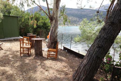 A Beautiful Place To Relax