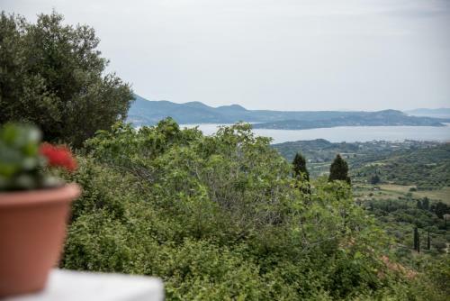 Agroturismo Rena's Panorama View House