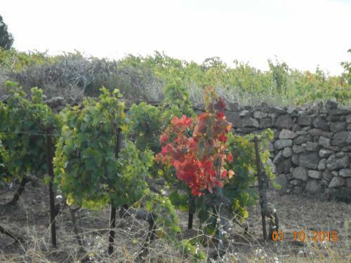 Agroturismo Chez Marie