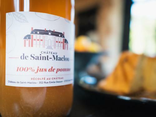 Bed & Breakfast Chateau De St Maclou