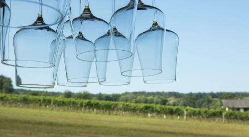 Blaufr�nkisch, Bed & Breakfast Am Weingut Sch�tzenhof