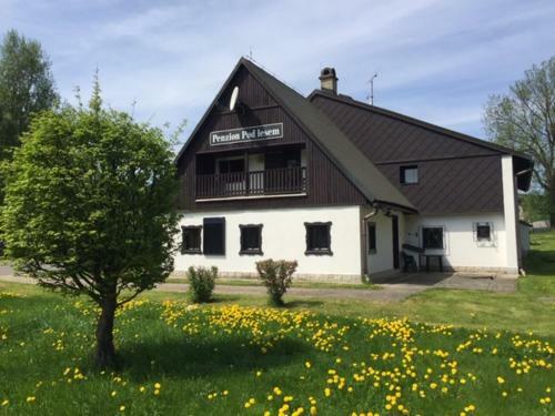 Hostal Penzion Pod Lesem
