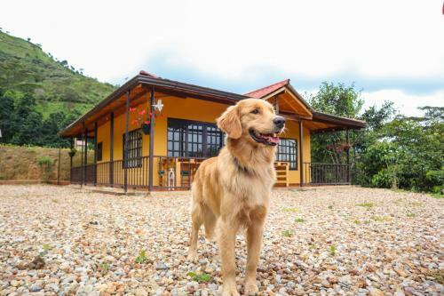 Casas De Campo - El Para�so La Vega