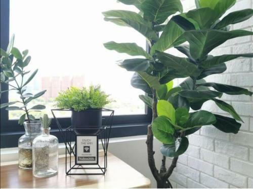 The Hub Suite - Petaling Jaya - Suite A