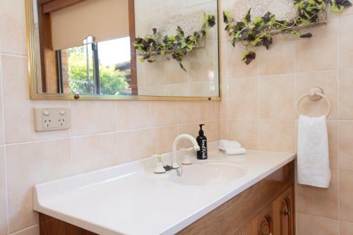 Convenient & Affordable Close To Town Pet-friendly