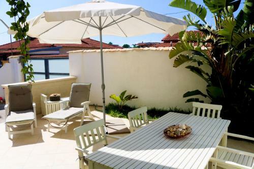 The Enlightened Turtle