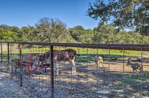 Quaint Texas Home Less Than 2 Mi To Lake Georgetown!