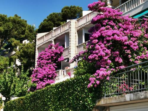 Apartment Luka Sodan -villa Bose