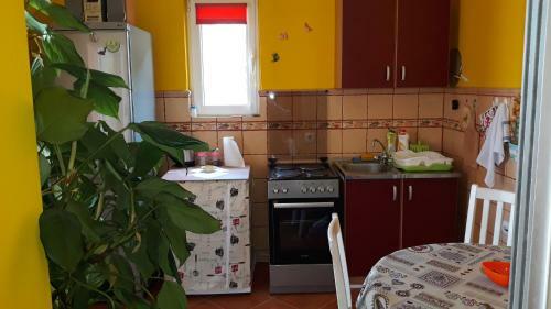 Hostal Guesthouse Djacic