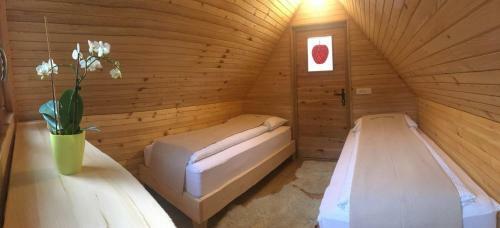 Glamping Naselje Zeleni Turizem