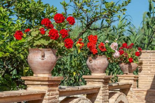 Zakynthos Traditional Villa