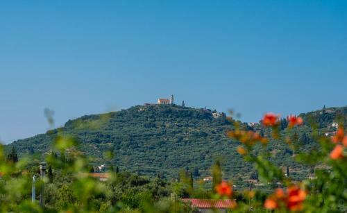 Zakynthos Traditional Villa