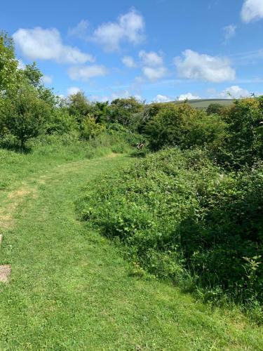 Private Countryside Holiday Cabin 10 Mins From Brighton