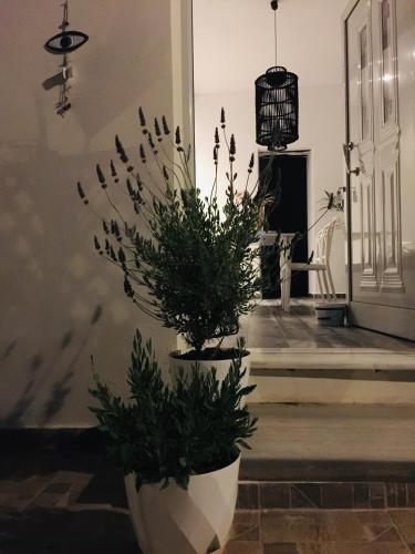 Meletakis Garden Homes