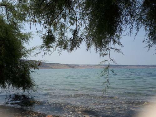 Apartmani Korina