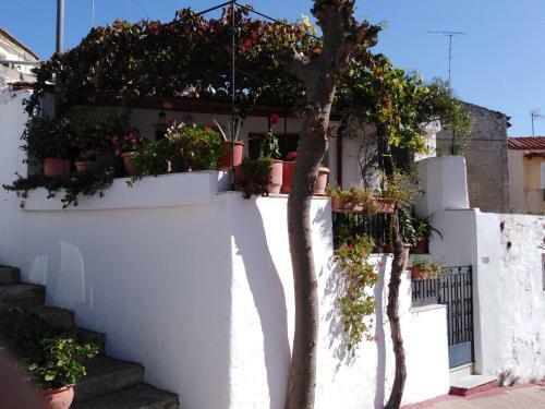 House Of Vine