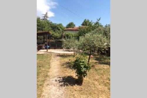 Cozy Apartment Umag 2