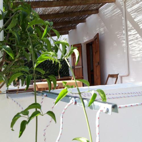 Casa Vacanza Valacca