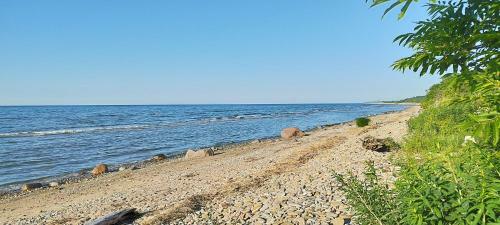 Mere��re Glamping Ja Rannamaja