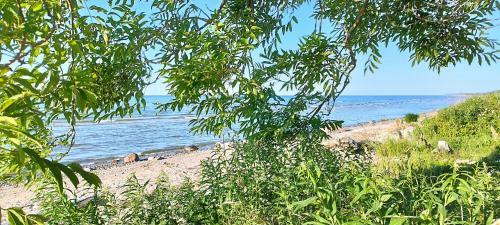 Mere��re Glamping Ja Rannamaja