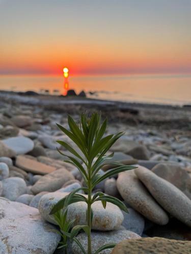 Mere��re Glamping Ja Rannamaja
