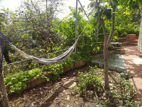 Villa The Pergola By The Sea