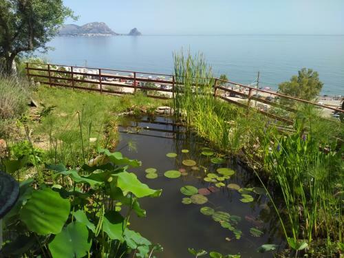 Villa The Pergola By The Sea