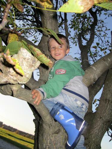 Agroturismo Baby- Und Kinderhof Aicherbauer