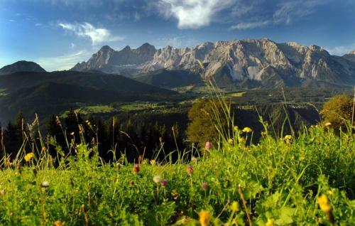 Hotel Stockerwirt