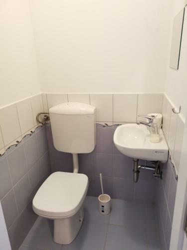 Apartamento Vetrovi ?umijo II