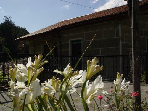 Casa En Vi�oas (ribeira Sacra)