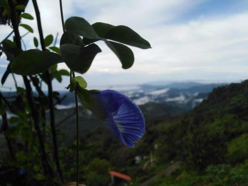 Posada Aurora Village Inn Haputale Srilanka-