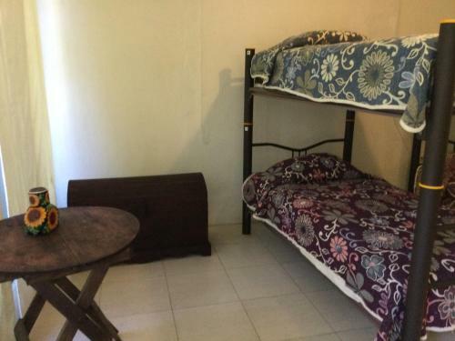 Trotamundo Oaxaca Hostel