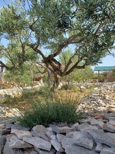 Agroturismo Robinzonski Smje?taj Tiha Draga
