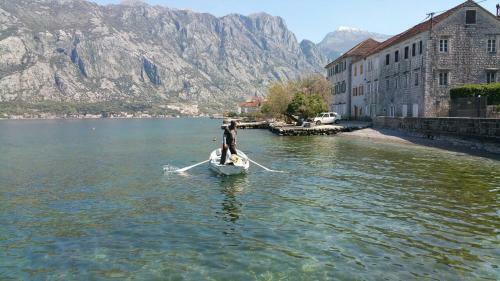 Apartman Vladan