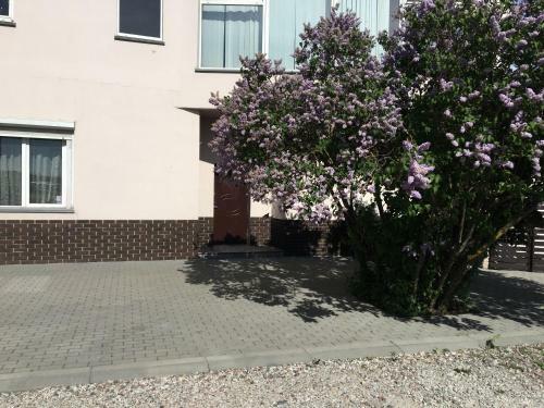 Apartment 120 Sq M With An Indoor Swimming Pool